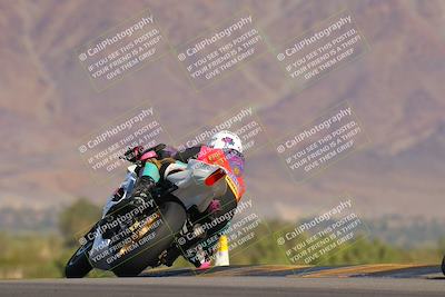 media/Nov-12-2023-SoCal Trackdays (Sun) [[5d1fba4e7d]]/Turn 9 Backside (1015am)/